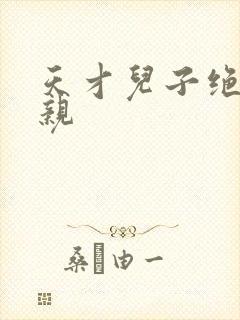 天才儿子绝色娘亲