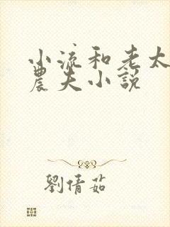 小流和老太69农夫小说