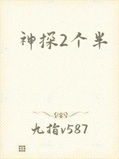 神探2个半