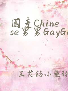 国产Chinese男男GayGayAPP