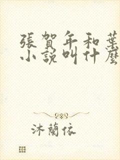 张贺年和叶繁姿小说叫什么名字