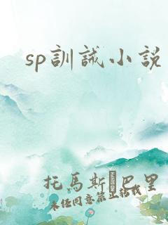 sp训诫小说