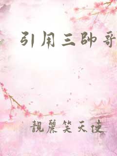 引用三帅哥