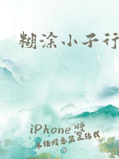 糊涂小子行大运