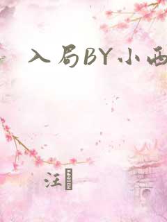 入局BY小西