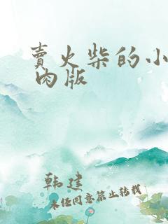 卖火柴的小男孩 肉版