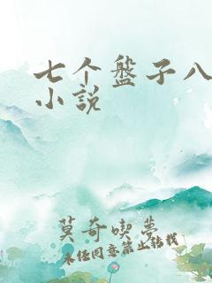 七个盘子八个碗小说