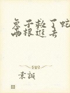 兔子救了蛇被蛇两根进去