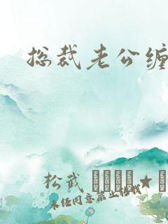 总裁老公缠上门