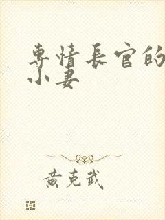 专情长官的天价小妻