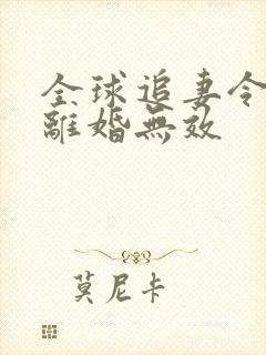 全球追妻令老婆离婚无效