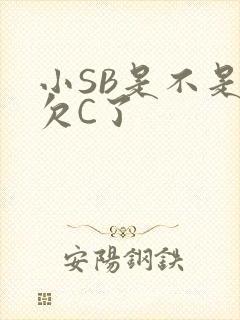小SB是不是又欠C了
