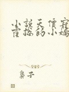 小说天价宠妻:霍总的小娇妻