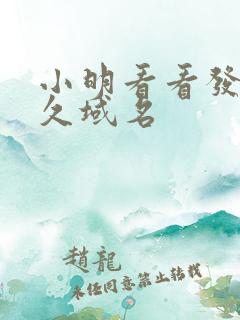 小明看看发布永久域名