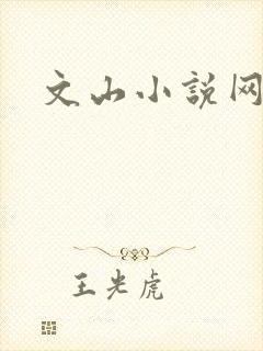 文山小说网