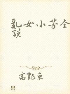 乱女小芳全集小说