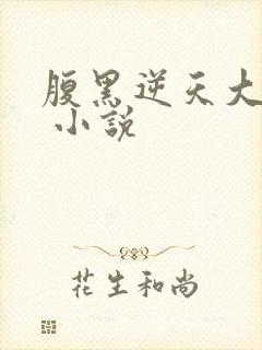 腹黑逆天大小姐 小说