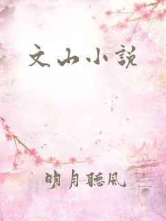 文山小说