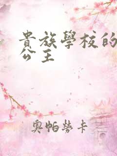 贵族学校的双面公主