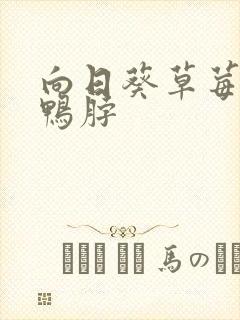 向日葵草莓丝瓜鸭脖