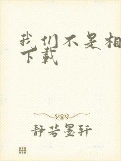 我们不是相爱吗下载