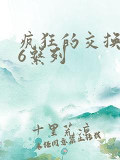 疯狂的交换1一6系列