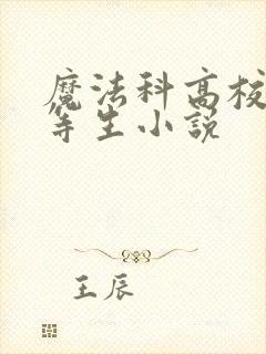 魔法科高校的劣等生小说