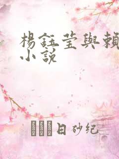 杨钰莹与赖昌星小说