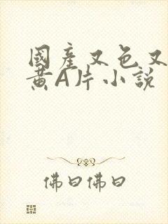 国产又色又爽又黄A片小说