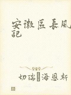 安徽区长风流日记