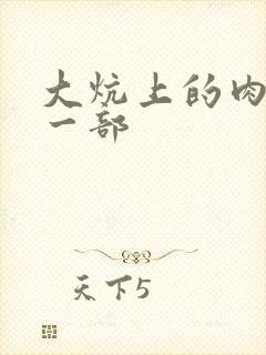 大炕上的肉伦第一部