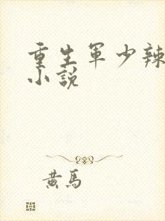 重生军少辣娇妻小说