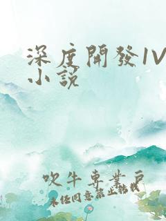 深度开发1V3小说