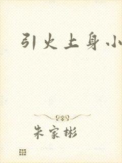 引火上身小说