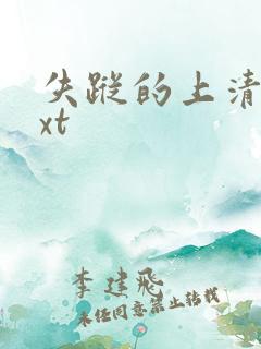 失踪的上清寺txt