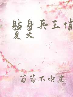 贴身兵王俏总裁夏天