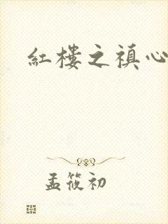 红楼之禛心锁玉
