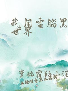 我用电脑黑了全世界