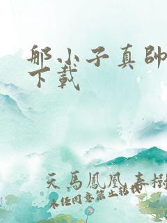 那小子真帅小说下载