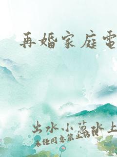 再婚家庭电视剧