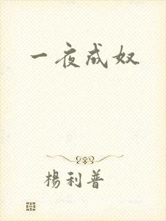 一夜成奴