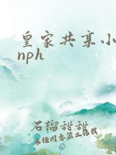 皇家共享小公主nph