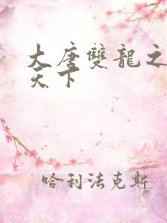 大唐双龙之无敌天下