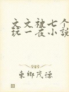 文文被七个男人玩一夜小说