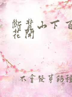 断背山下 百合花开