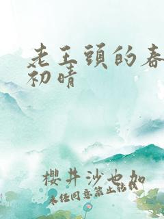 老王头的春天林初晴