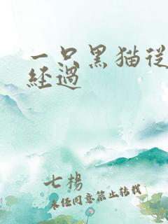 一只黑猫从眼前经过