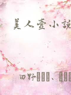 美人壶小说