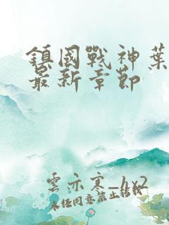 镇国战神叶君临最新章节