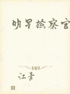 明星检察官小说